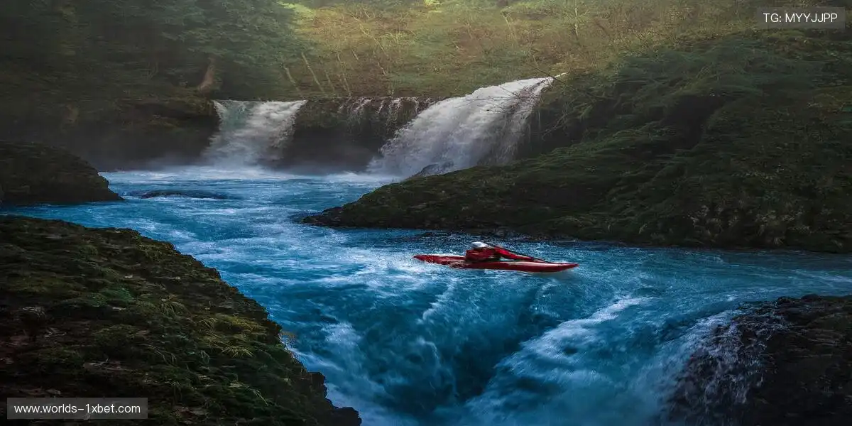 🎯 精准捕捉，不错过任何一个精彩瞬间！